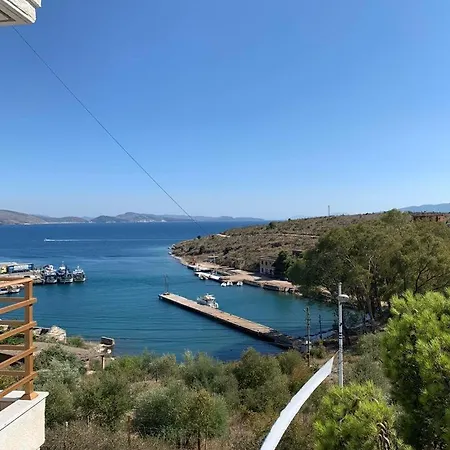 Marina Yacht *